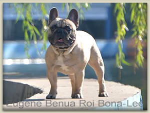 Eugene Benua Roi Bona-Lee